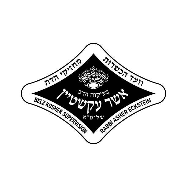Asher Ekstein Belza
