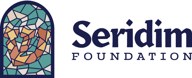 seridim brand identity, logo